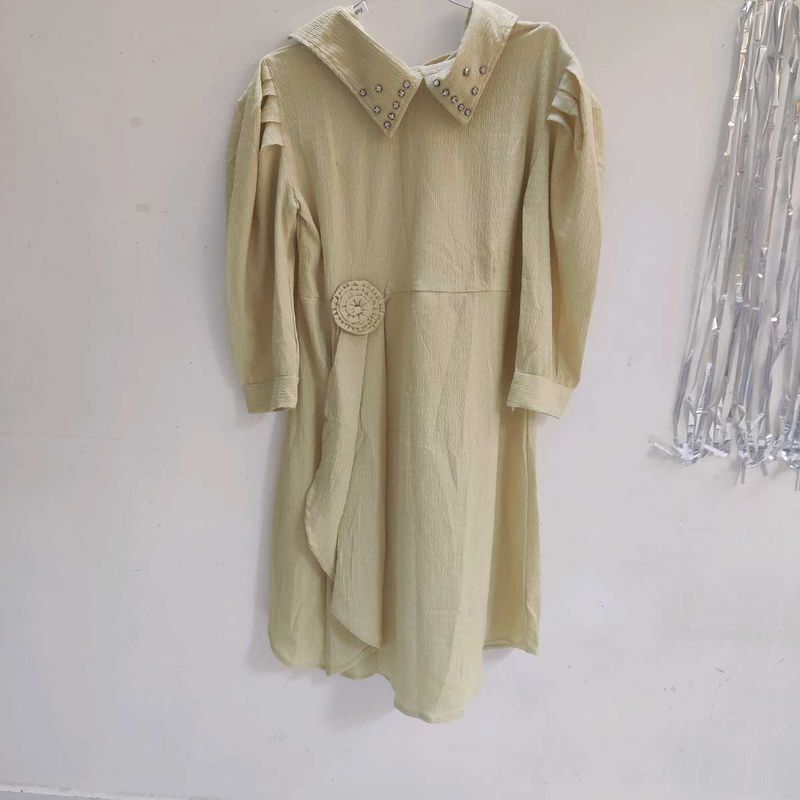 Elegant Light Yellow Dress