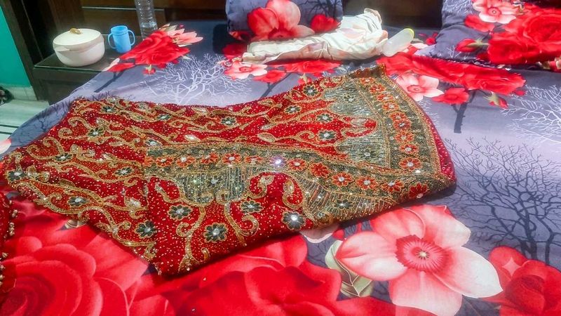 Red Embellished fish cut state lehanga
