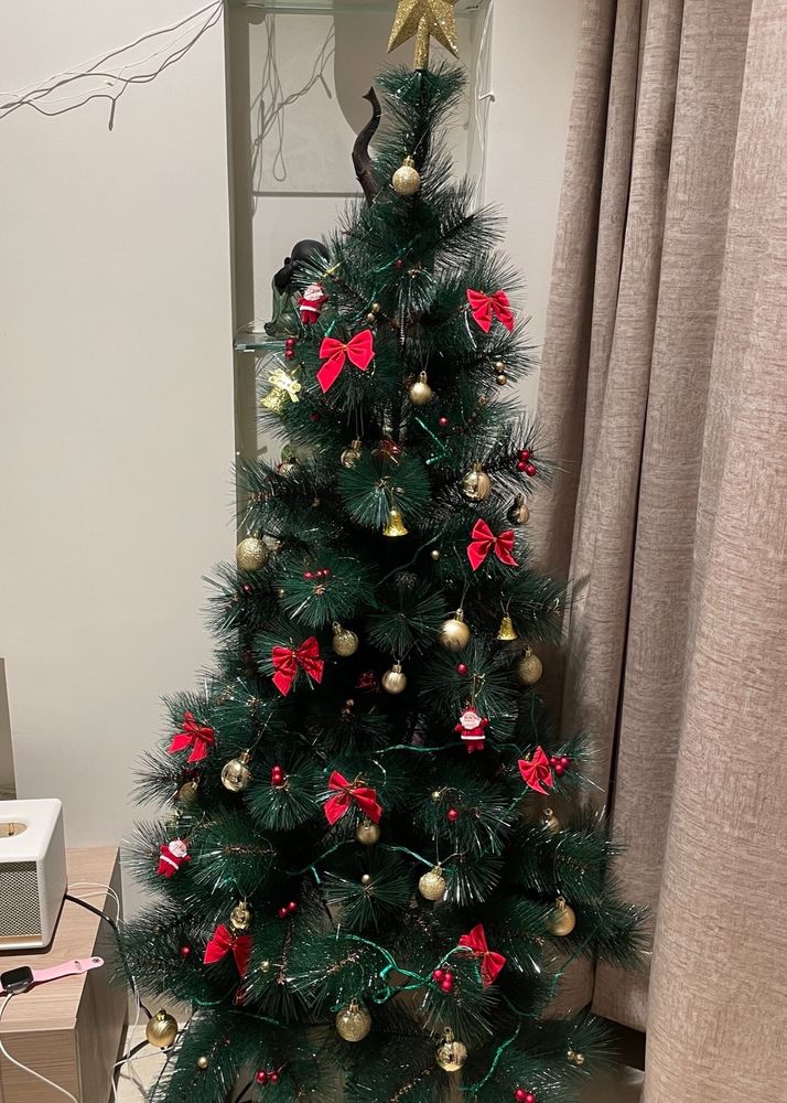 Christmas Tree with Decorations for it