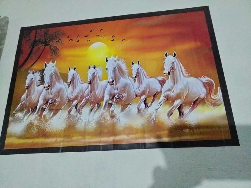 Stunning White Horse Wall Art