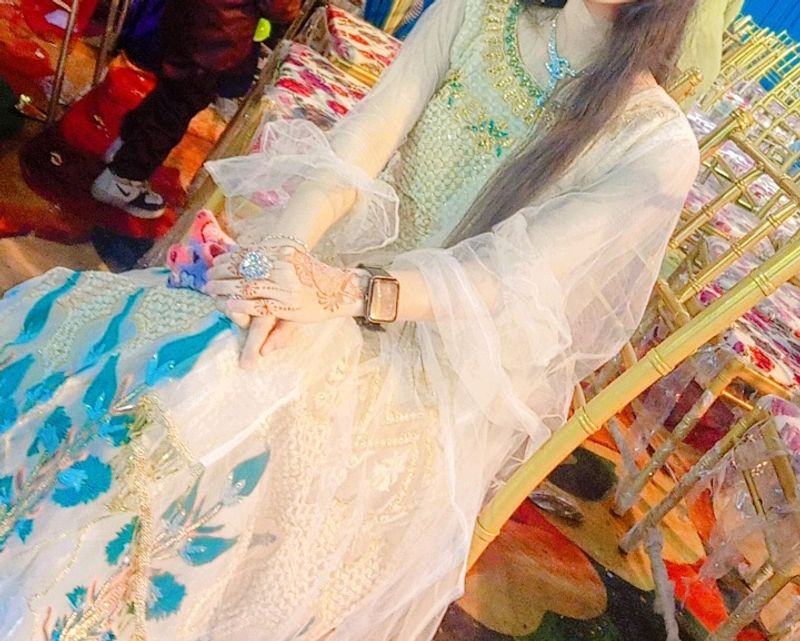 Elegant Embroidered Dress