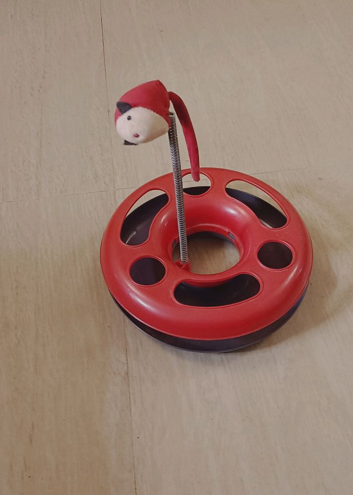 Cat Toy