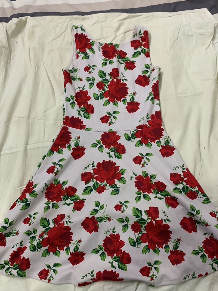 H&amp;M Skater Dress