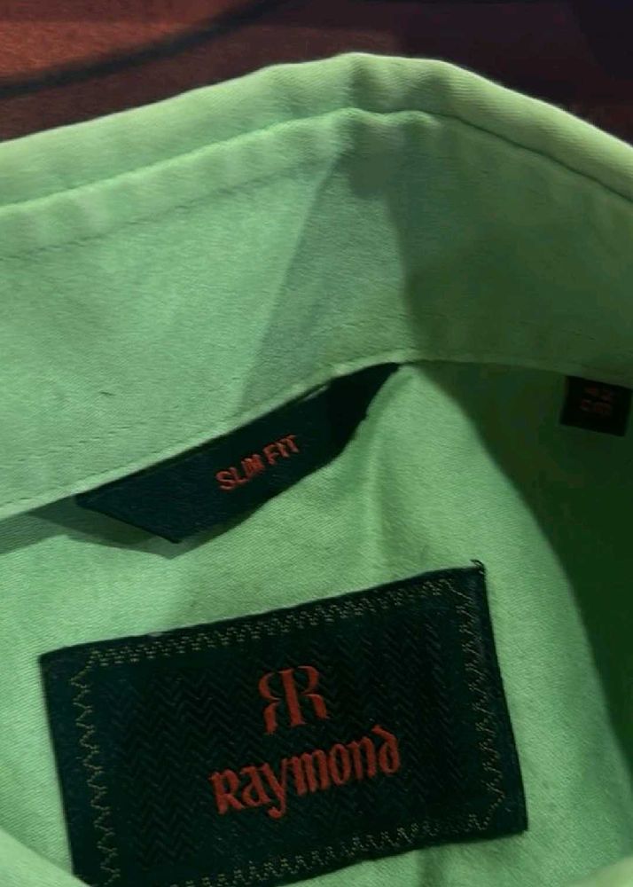 Raymond's Light Green Shirt