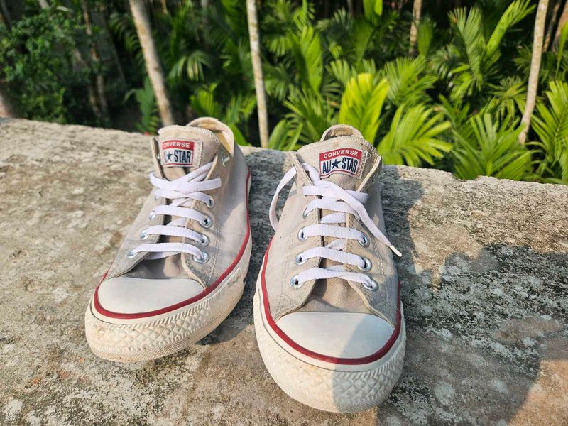 Converse Chuck Taylor All Star Sneakers