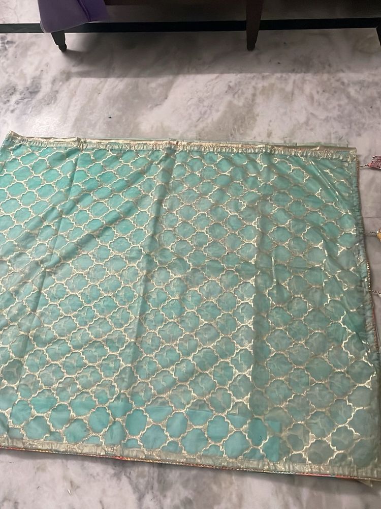 Beautiful Mint Green saree
