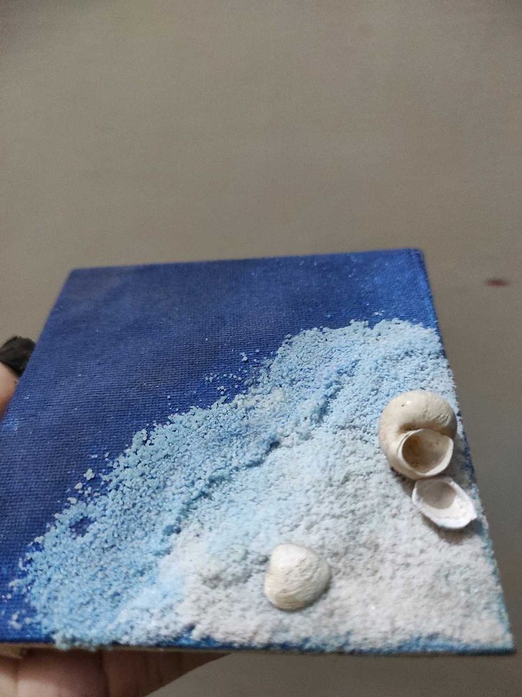 Seashell Beach Art Canvas