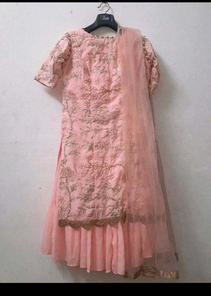 Elegant Pink Embroidered Lehenga Choli