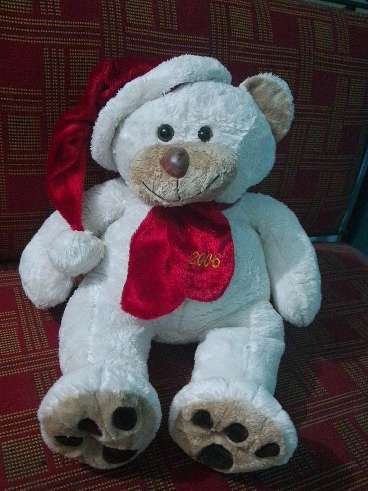 Teddy