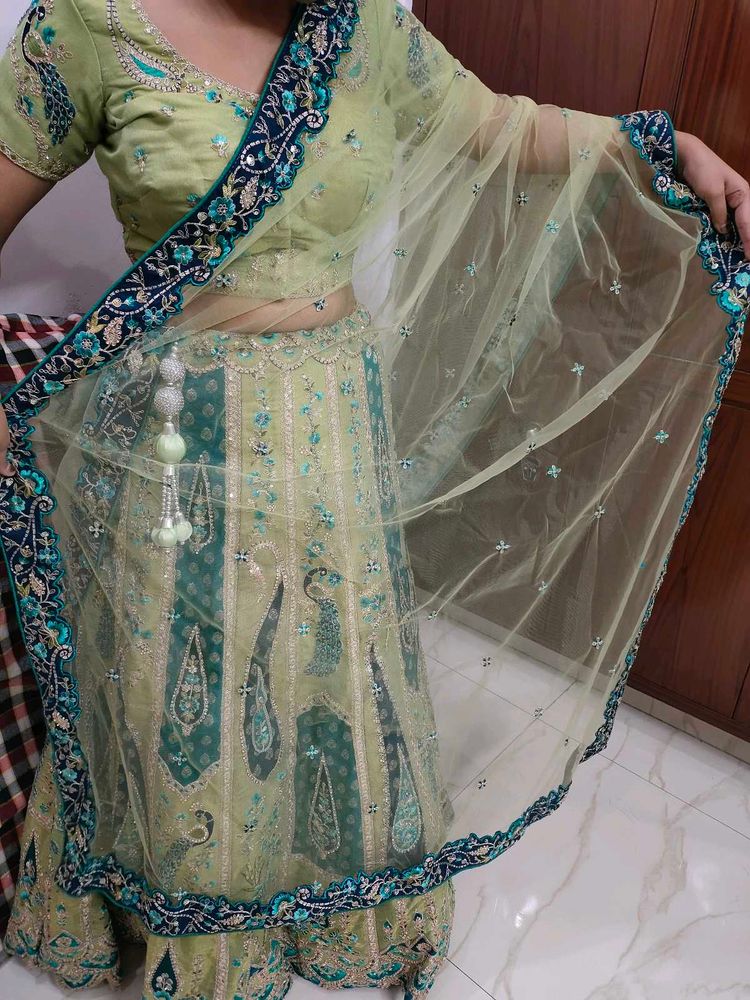 Elegant Lehenga Choli