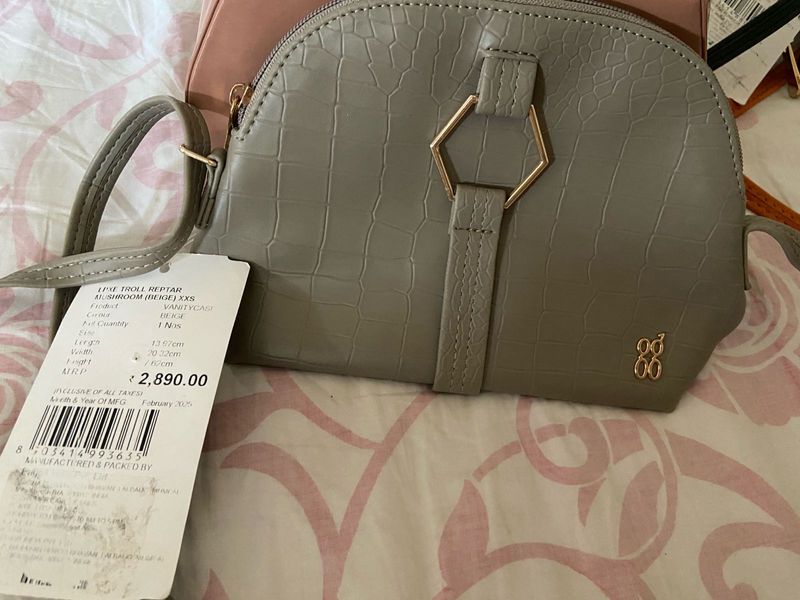 stylish grey baggit bag