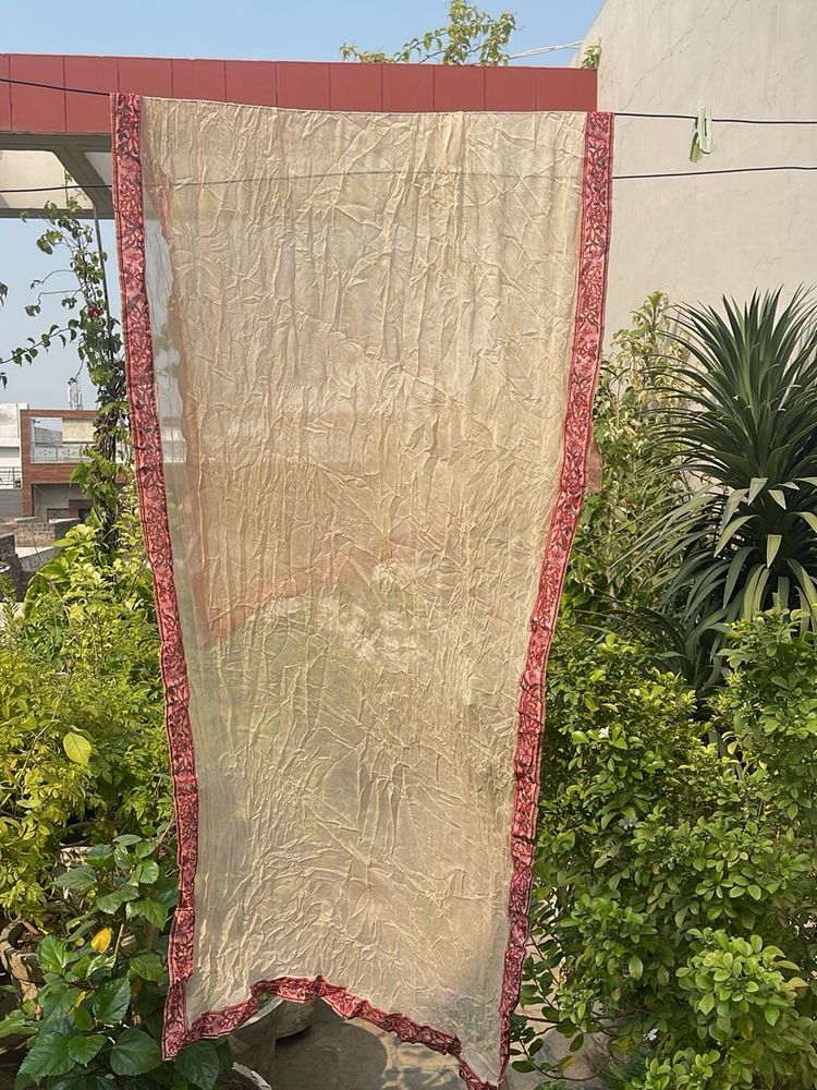 Elegant Embroidered Dupatta