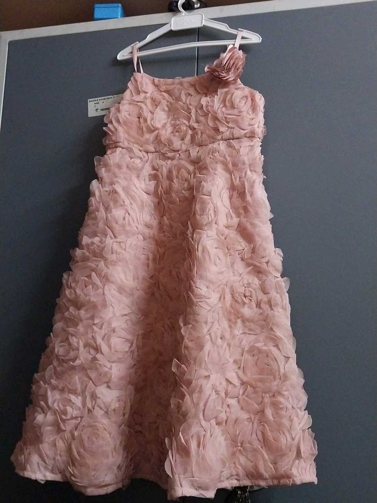 Rose Applique Party Dress