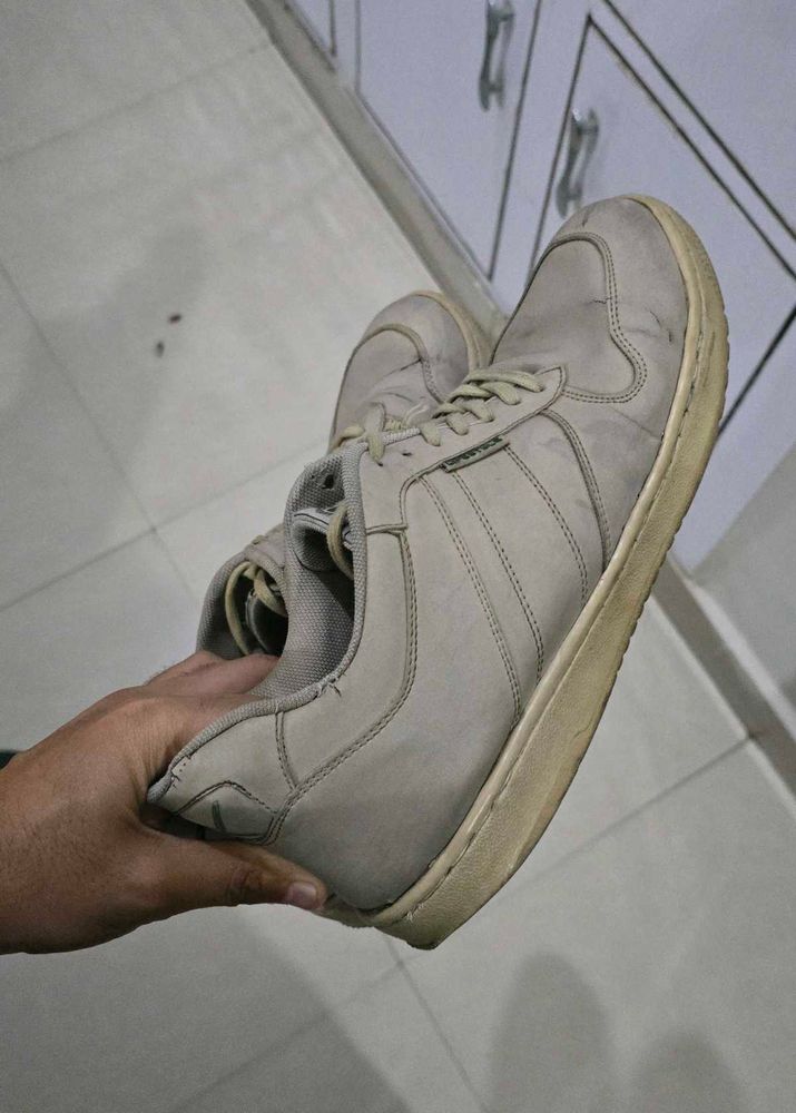 Urgent SELL Beige Casual Sneakers