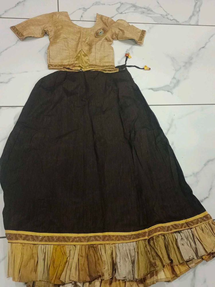 Traditional Indian Lehenga Choli Set