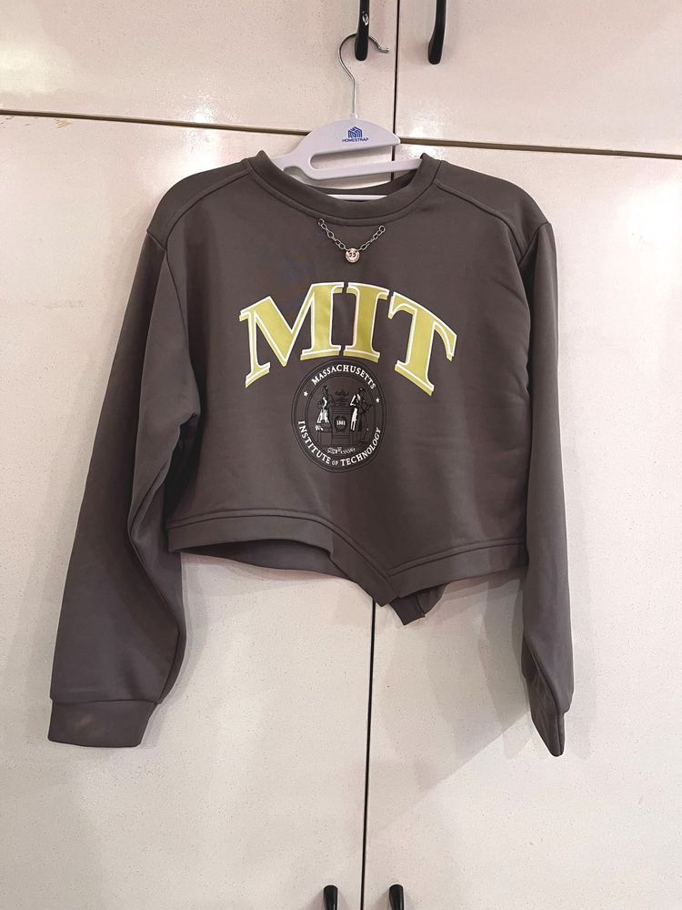 MIT Crop Sweatshirt