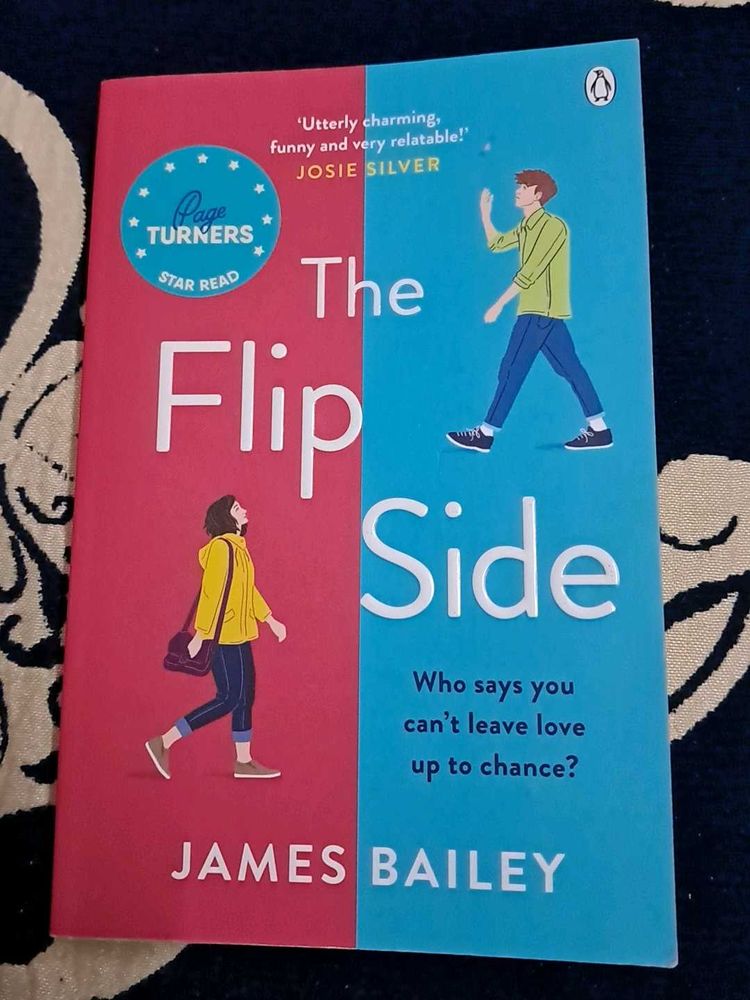 The Flip Side by James Bailey