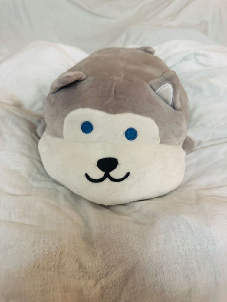 Cute Husky Plush Toy