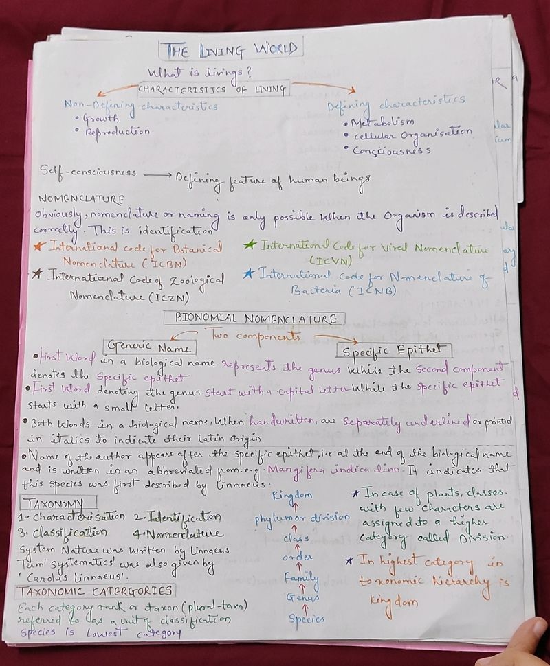 Handwritten Notes Neet Ug