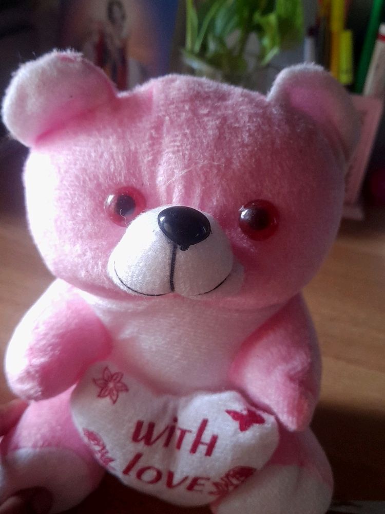 Soft Small Teddy