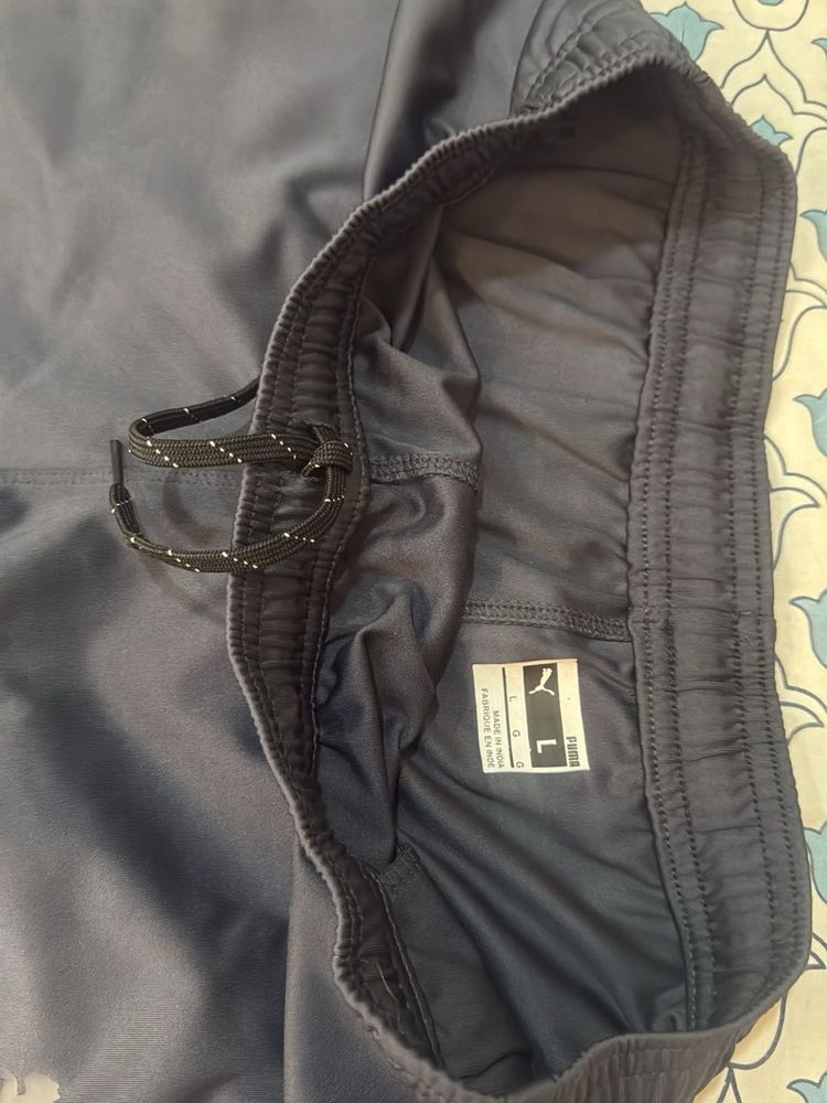 Puma Jogger L size