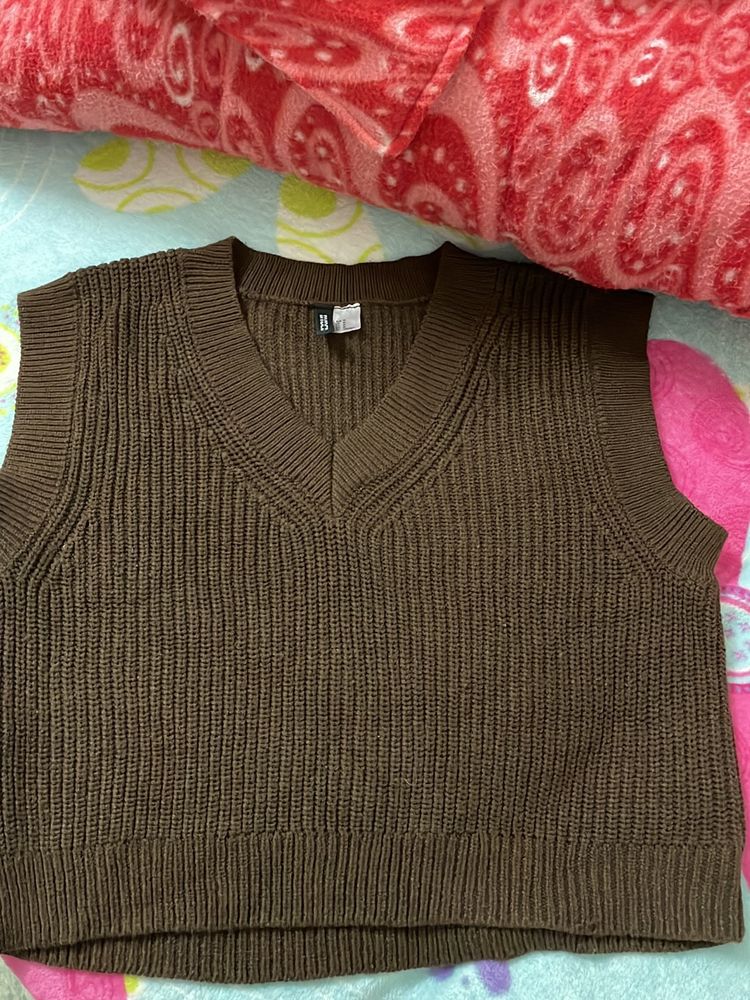 H&amp;M Sweater Vest