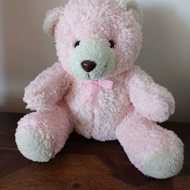 Cute Pink Teddy Bear Toy from Thailand