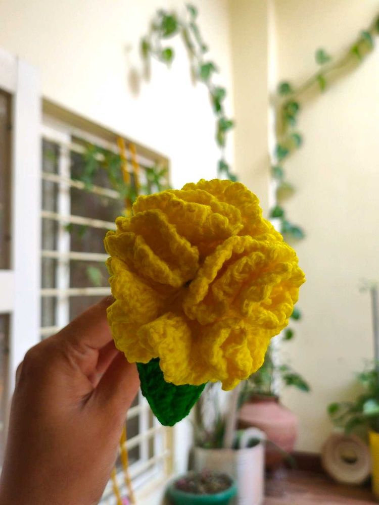 Crochet carnation Flower
