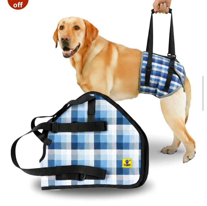 dog support harness