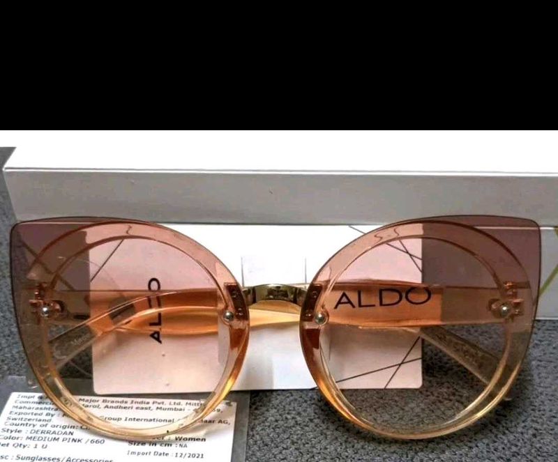 Aldo Sunglasses (NEW)