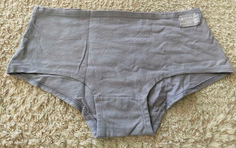Danskin Intimates Organic Cotton Panty ✨