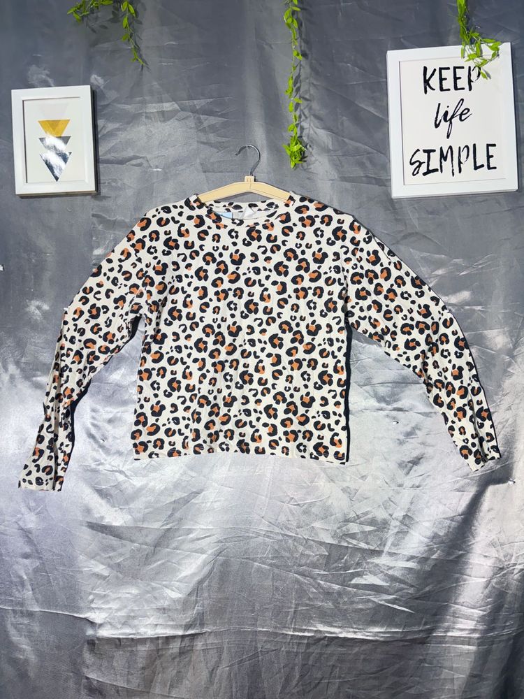 ZARA Leopard Print Long Sleeve Top
