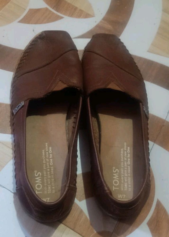 Toms Bellies