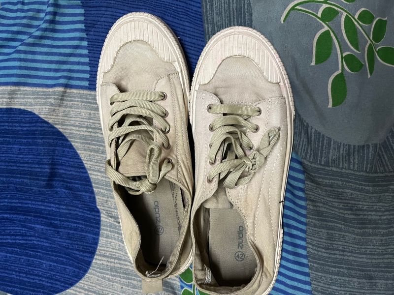 Canvas Shoes In Good Condition