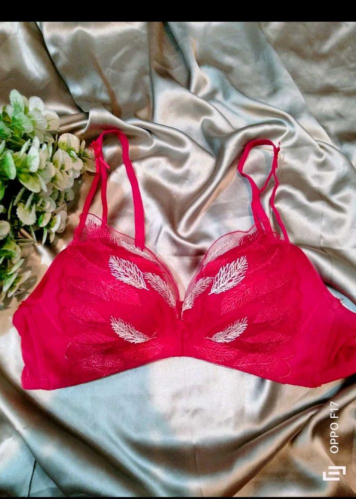 Beautiful Bra Combo