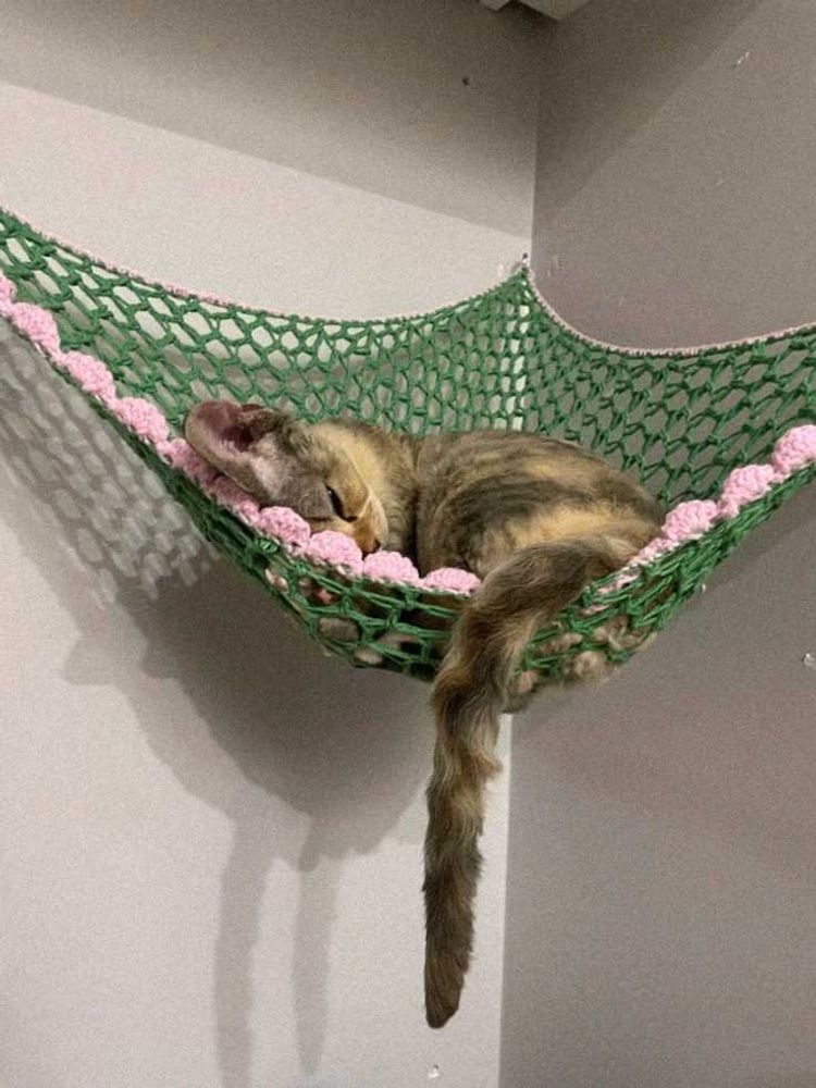 Handmade Hammock