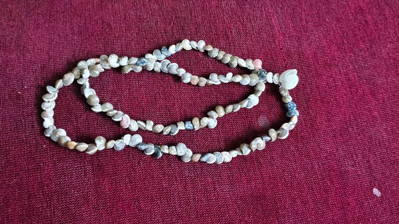 Seashell Necklace- Unused