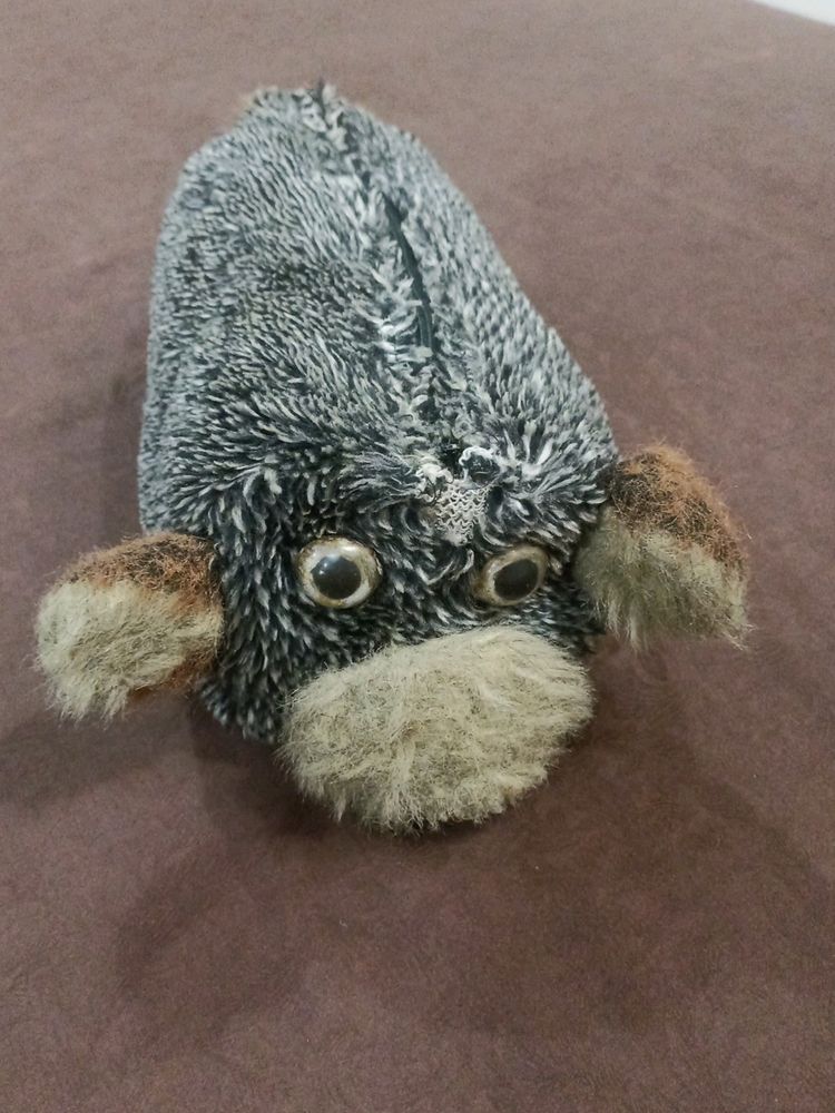 Dog Bag
