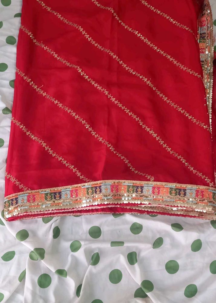 Red Saree with Embellished Border