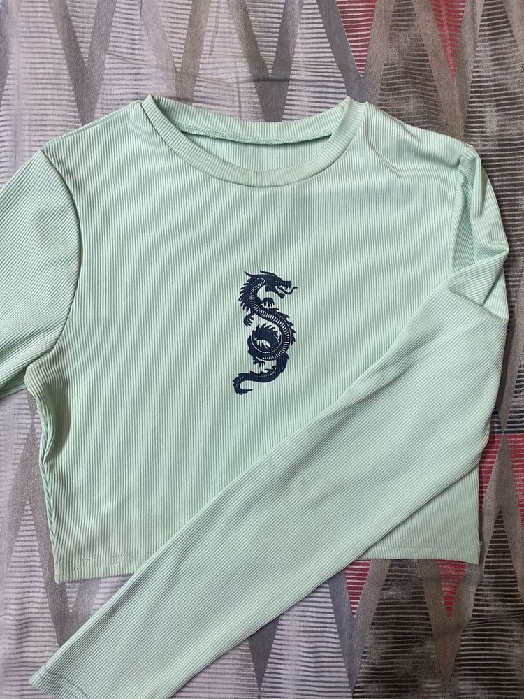 Mint Dragon Graphic Long Sleeve Top