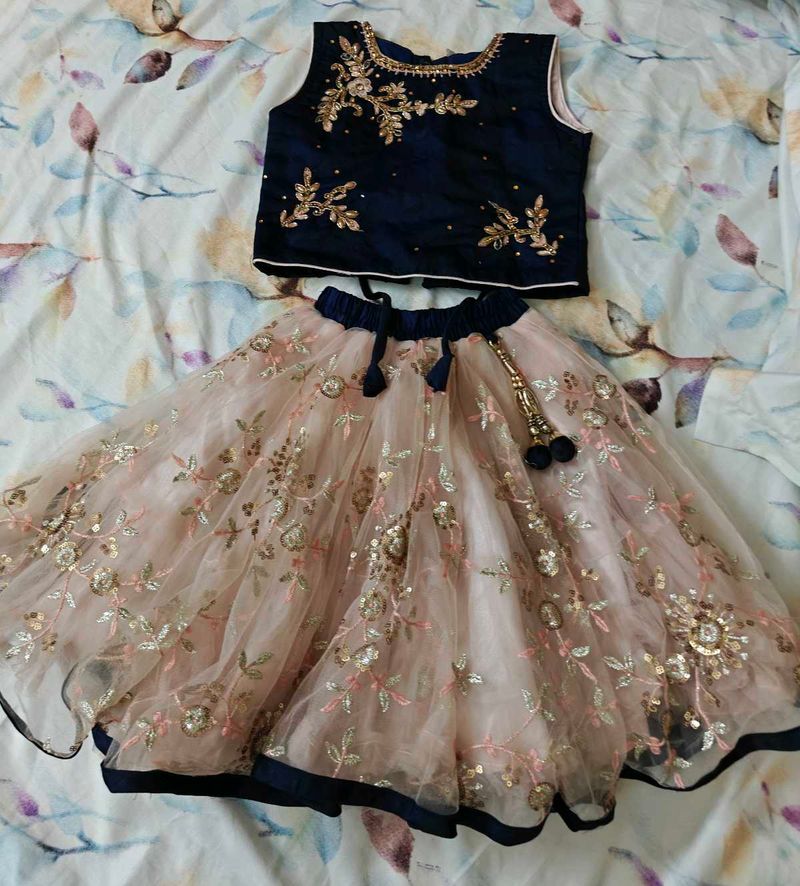 Embroidered Lehenga Choli Set