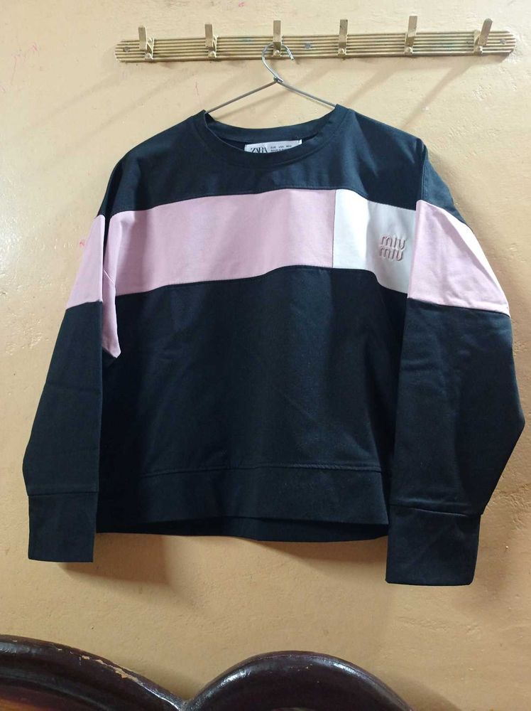 Colorblock Crewneck Sweatshirt/Top