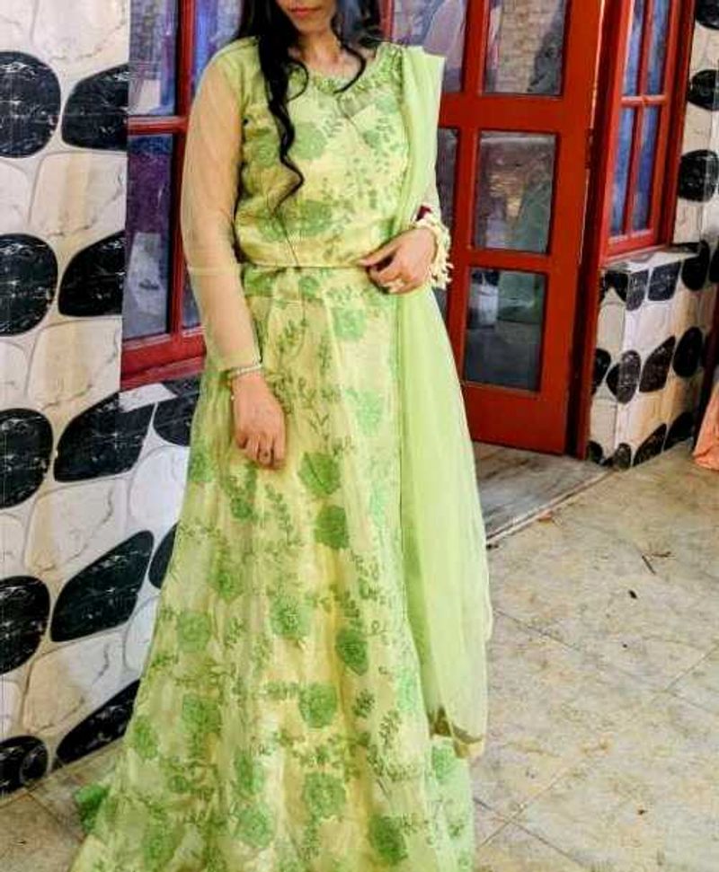 Beautiful Green Lehnga Type Gown Crop Top