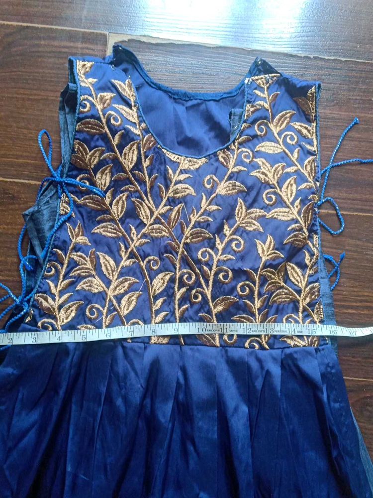 Elegant Blue Embroidered Dress