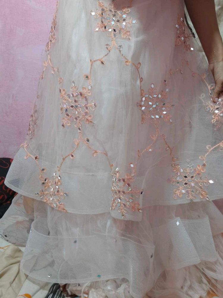 Gorgeous Lehenga Choli