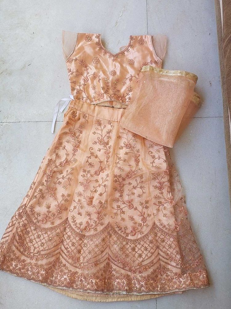 Peach Embroidered Lehenga Choli