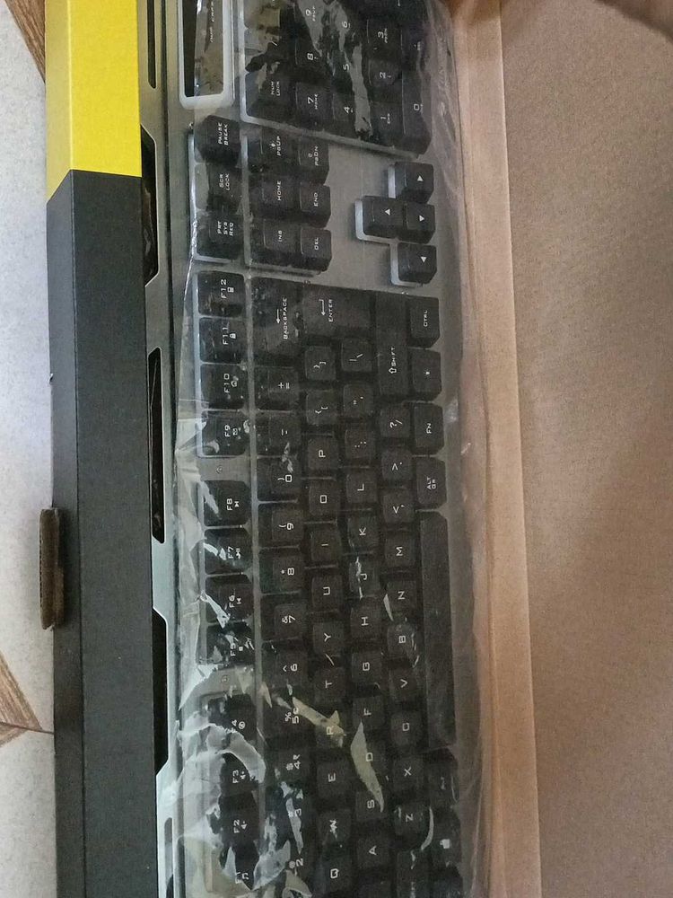 Zebronics Premium Keyboard and Mouse Combo