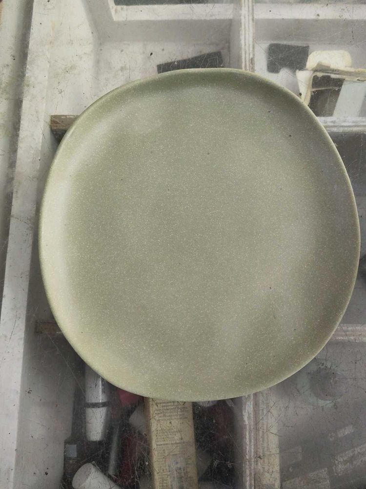 Minimalist melamine Dinner Plate