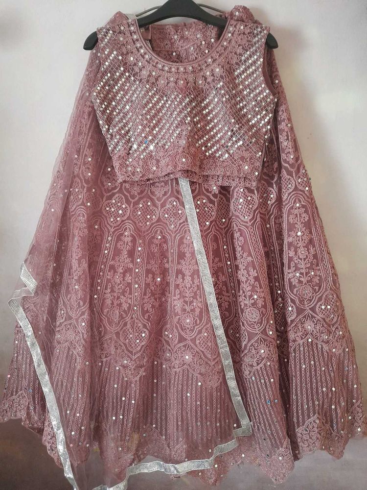 Embellished Lehenga Choli Set