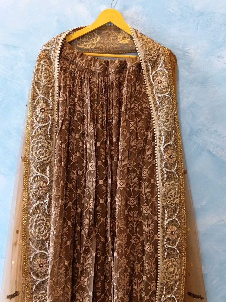 Elegant Brown Lehenga with heavy Dupatta